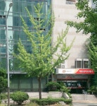 서울강서우체국