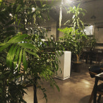 라움스터디카페