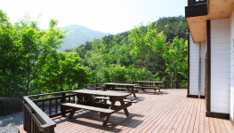 더 숲 펜션