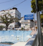 시민장로교회