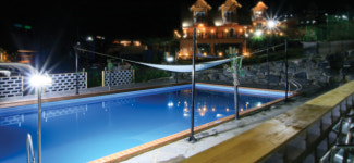 숲속애애플트리