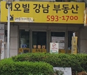 디오빌강남공인중개사사무소