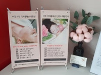 더나인뷰티