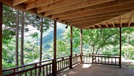 더 숲 펜션