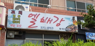 엘배강