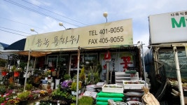 유녹플라워