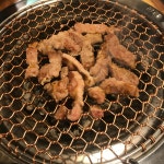 소백점