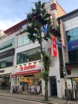 지센