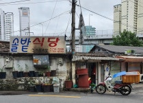 솔밭식당