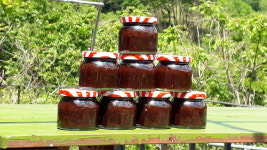 Sc파머스커피농장