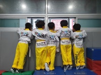 한반도태권도