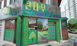 큰나무공인중개사사무소