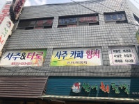 사주&타로양지