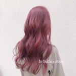 브링클리 살롱
