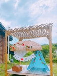 발라당눕스