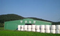 부영쌀농장
