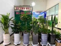 미림플라워