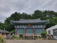 청룡사