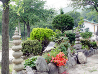 일출봉민박 펜션