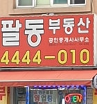 팔동부동산
