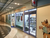 웰니스동물병원 롯데월드점