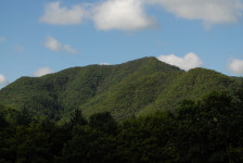 Naver 搜索结果照片 5