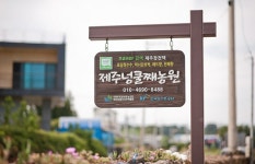 제주넝쿨째농원