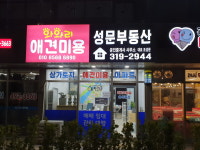 배곧 와와리애견미용