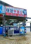 태양부동산