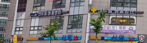 센트럴동물병원