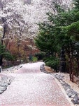 죽포미술관
