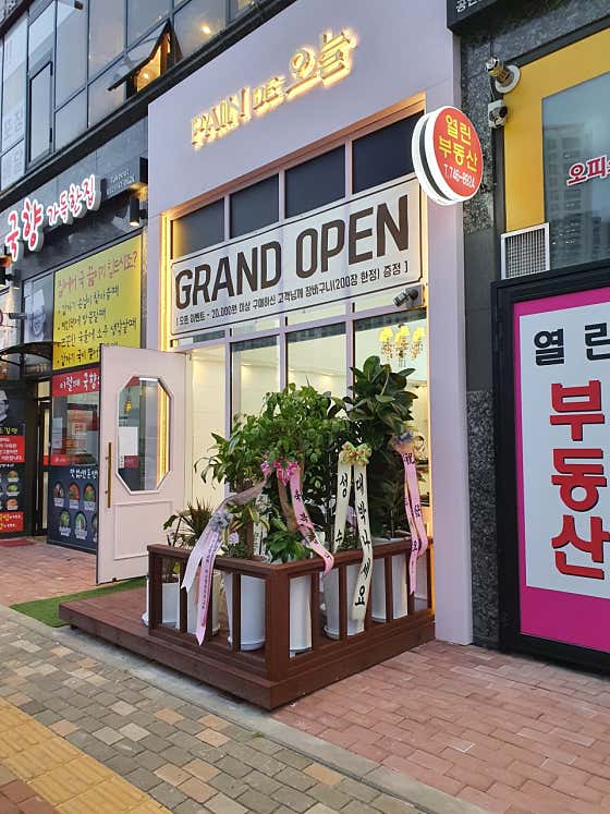 빵드오늘 사진