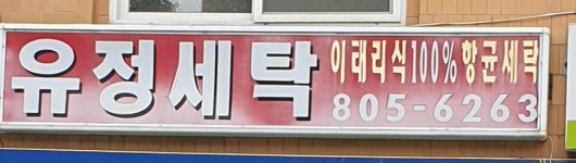 유정세탁
