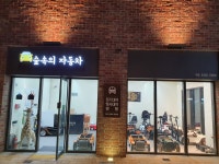 숲속의자동차