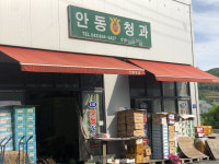 안동청과