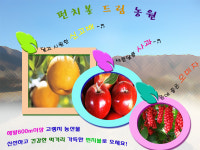 펀치볼드림사과농원