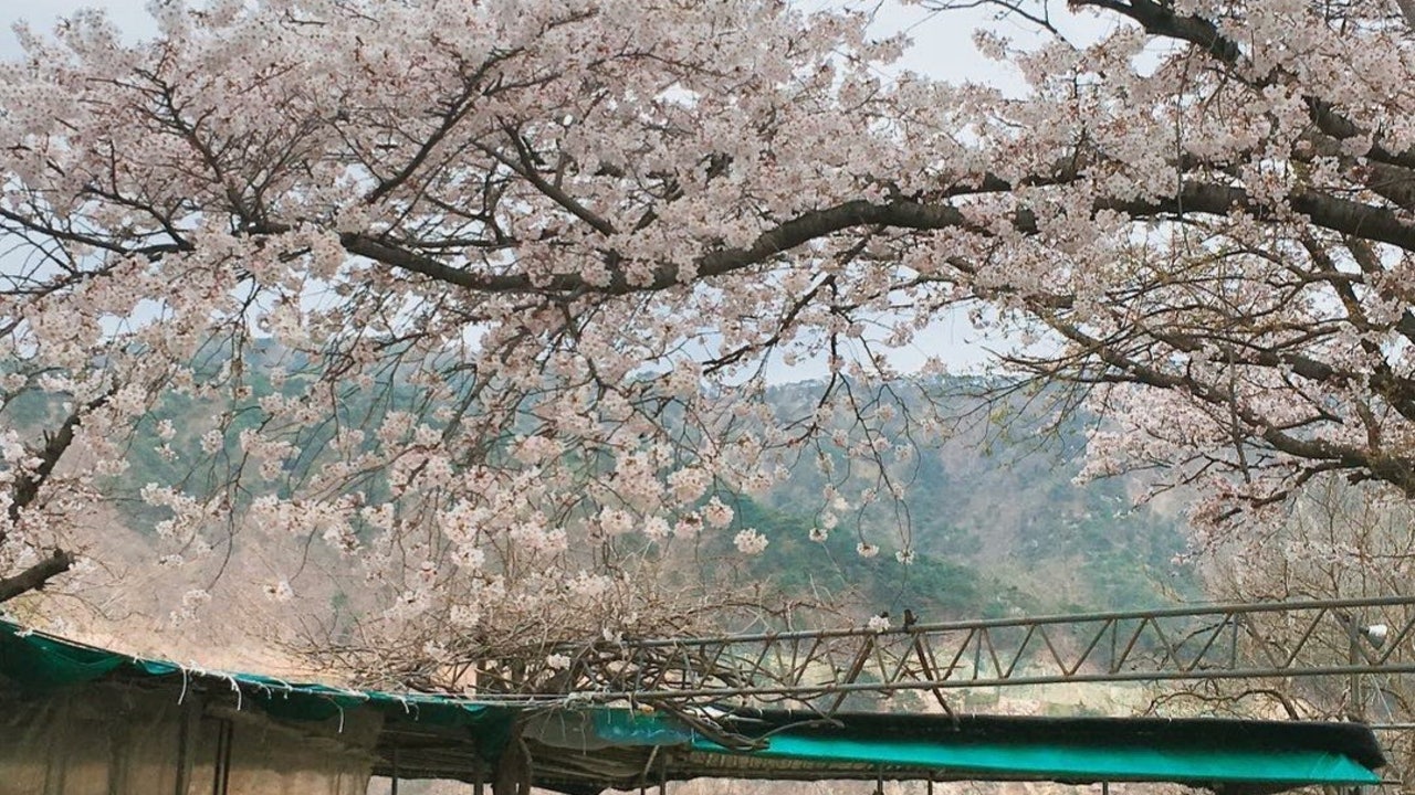 신세계집
