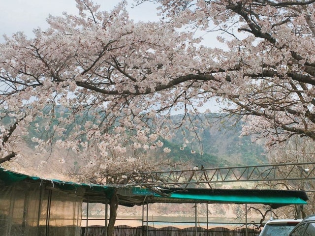 신세계집