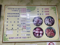 행운식당