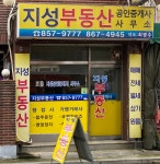 지성공인중개사사무소