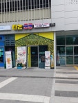 타논55