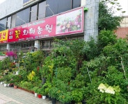 대성꽃화훼농원
