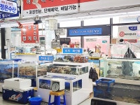 정은수산