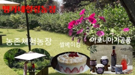 명가네힐링농장