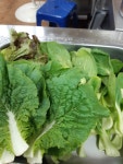 도운정갈비