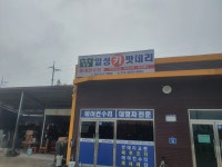 일성종합카밧데리