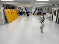 국가대표늘푸른경희태권도