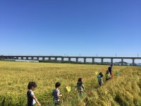 로렌츠감성치유시골체험