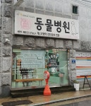 세인트필립동물병원