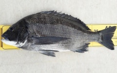 계도어촌체험휴양마을